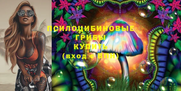 гидра Медногорск