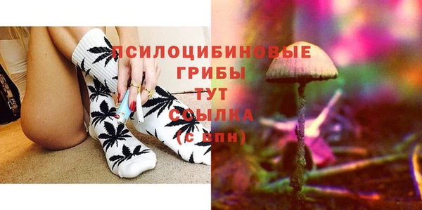 крисы Аркадак